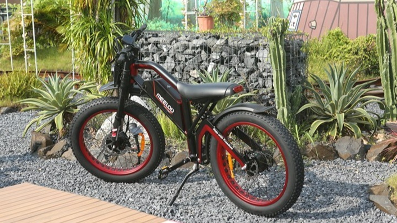 MEELOD XT600DL vs ENGWE X20: Two Dual-Motor E-Bikes